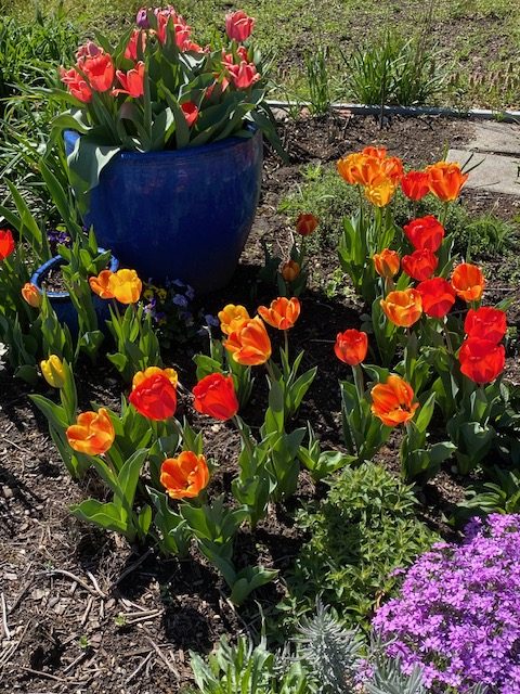 Fernandopulle_230411b