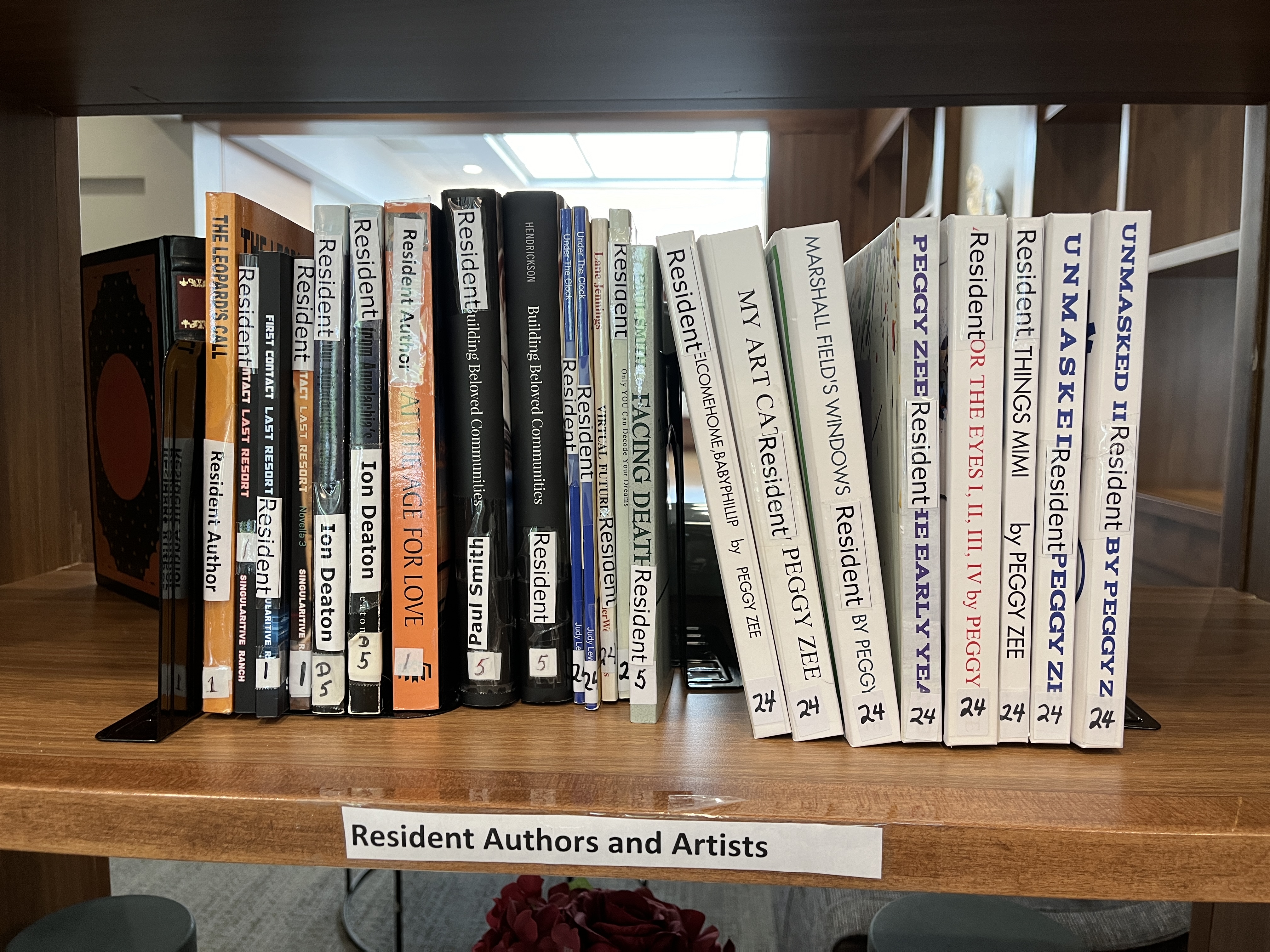 Libraries in “Media Lounges” – RiderwoodLife.com