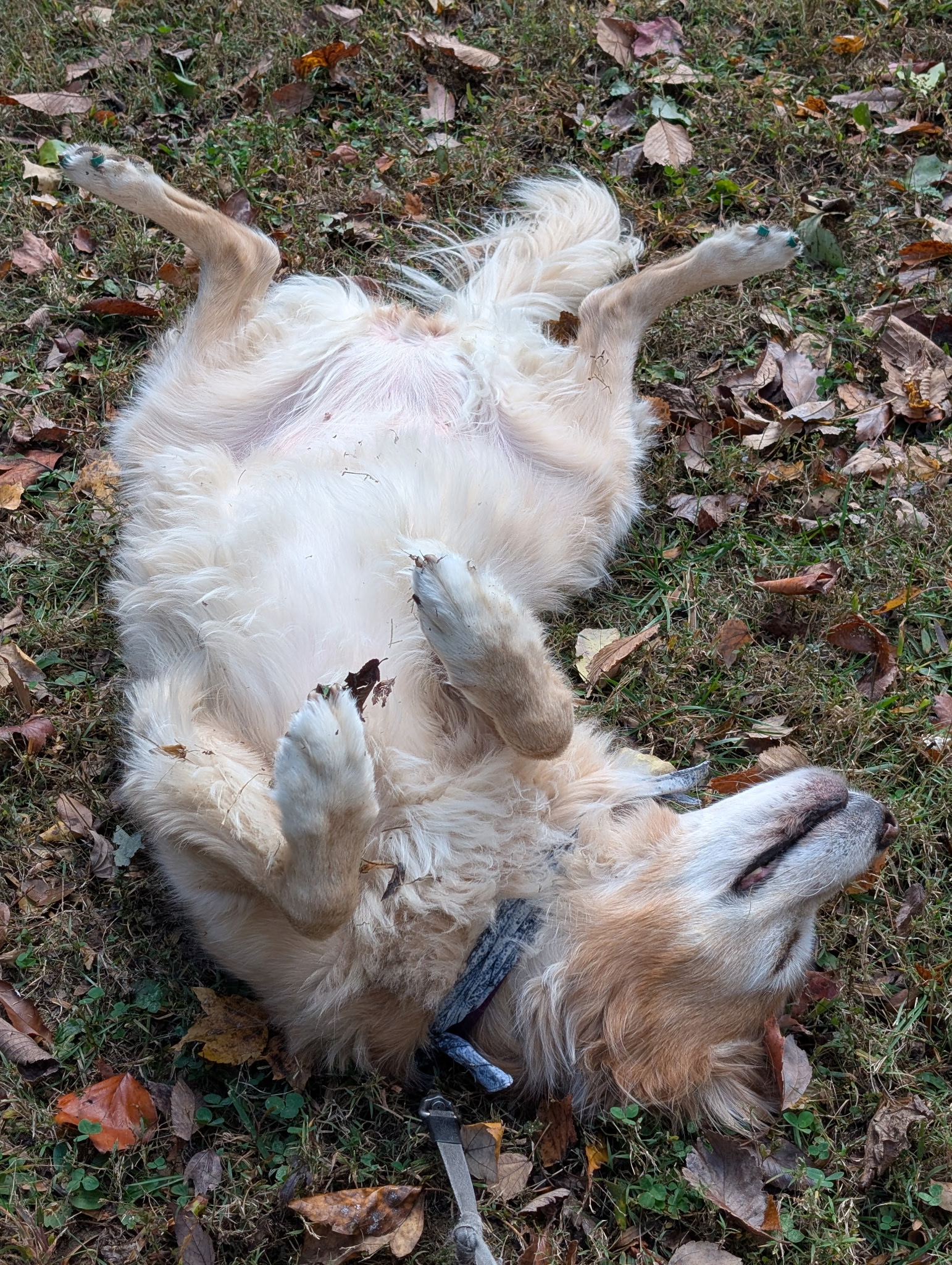 Bottoms up, Livvy