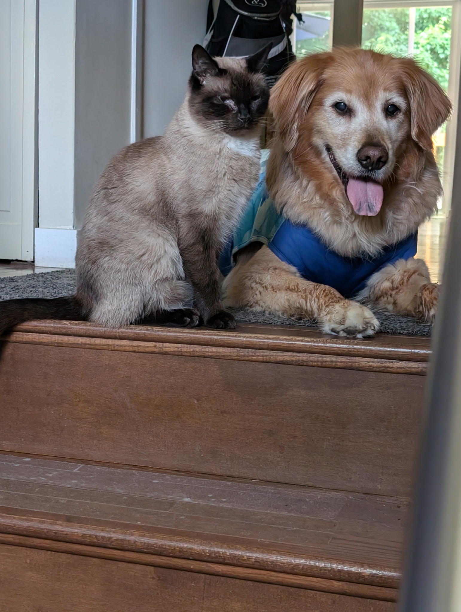 Livvy with her Particular Friend Reny
